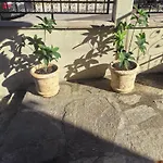 Гостевой дом къща томови