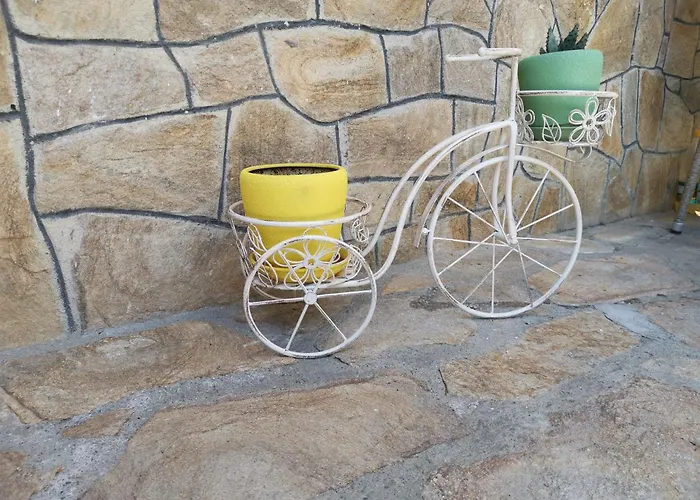 къща томови Dewin