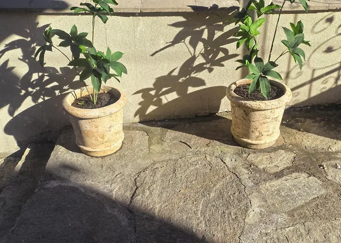 Gasthof къща томови